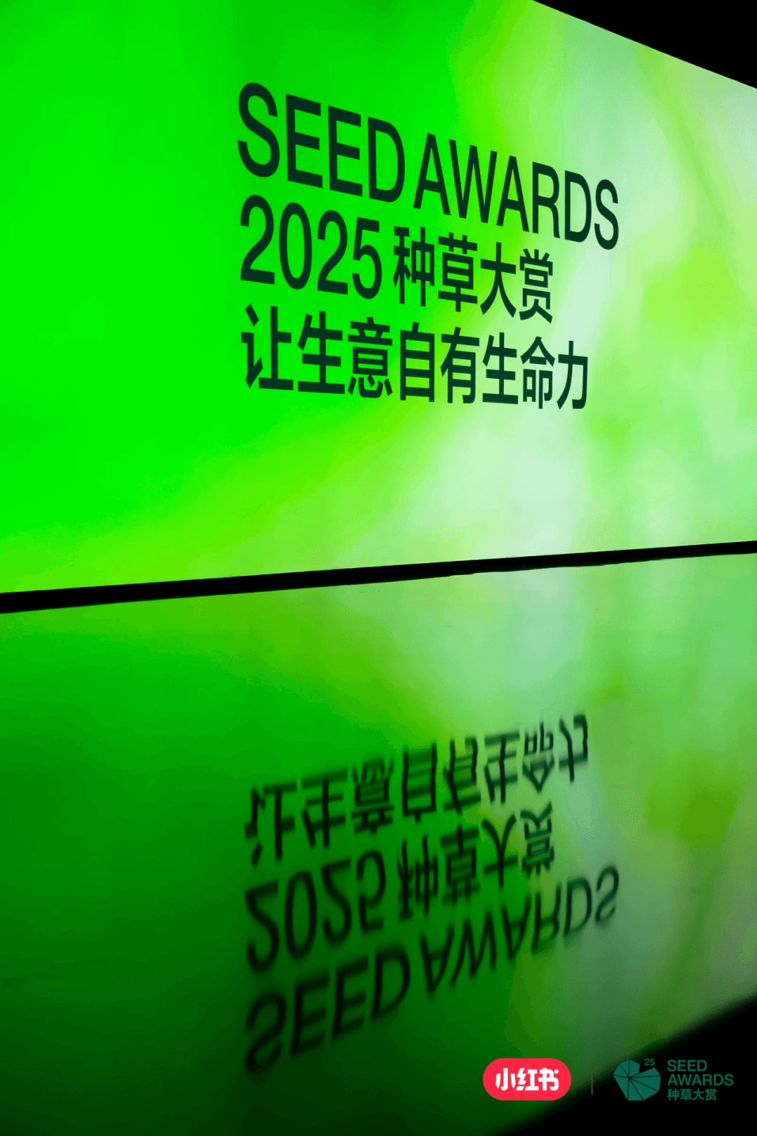 SEED AWARDS 2025 种草大赏让生意自有生命力主题画面