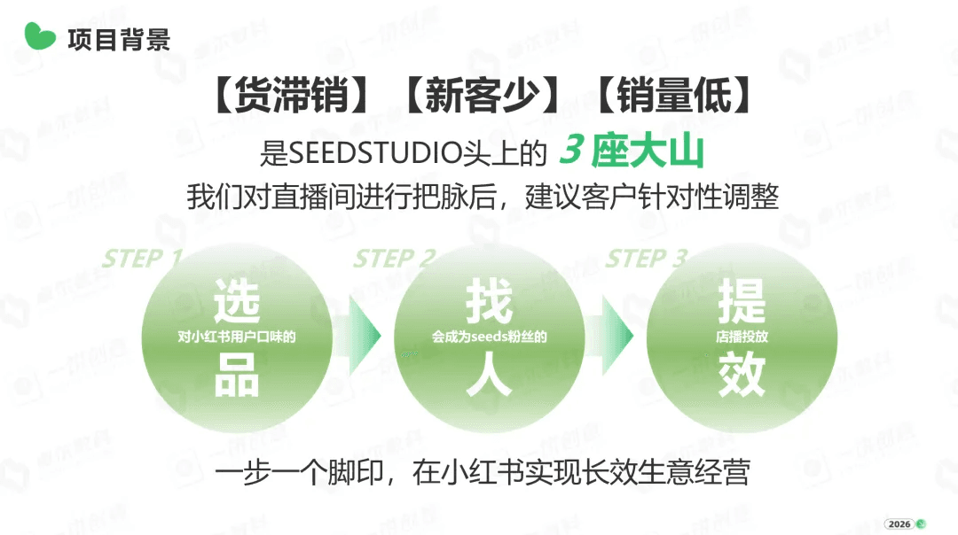 SEEDSSTUDIO 项目背景与增长策略